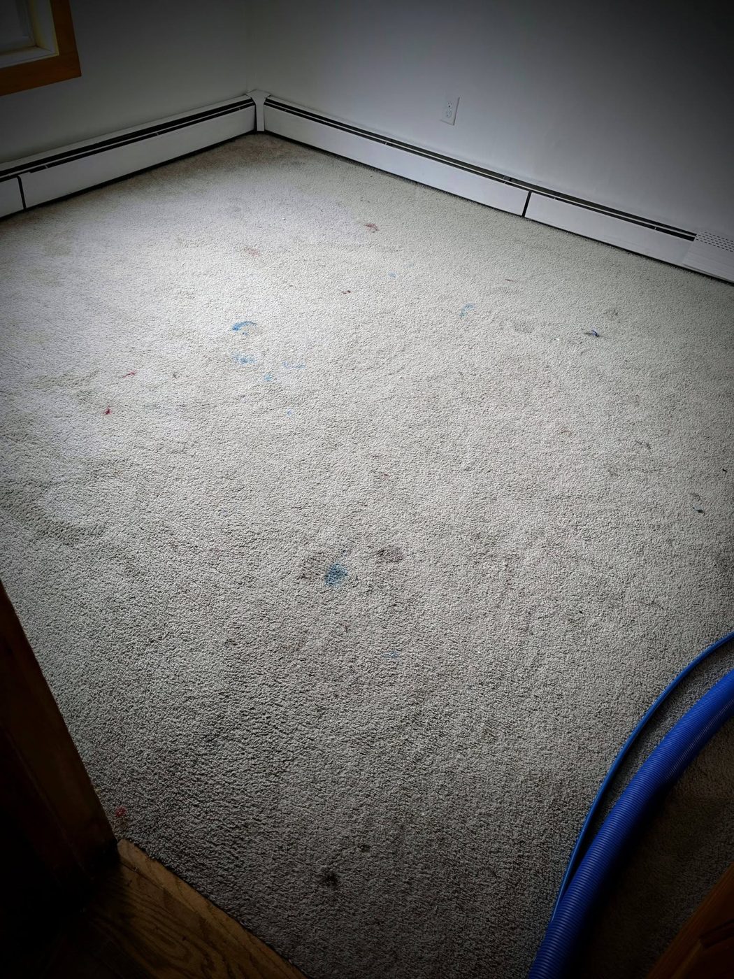 Carpet before cleaning