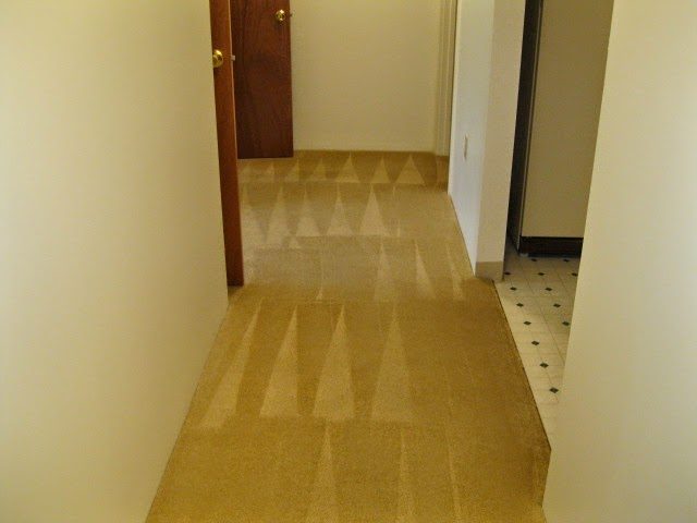 Half-cleaned carpet showing the difference