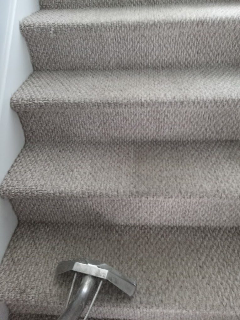 Carpet cleaning in progress