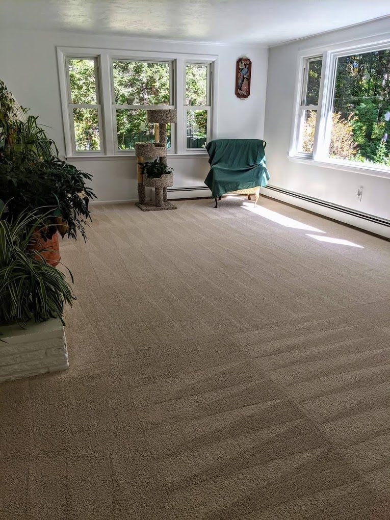 Professional carpet cleaning result