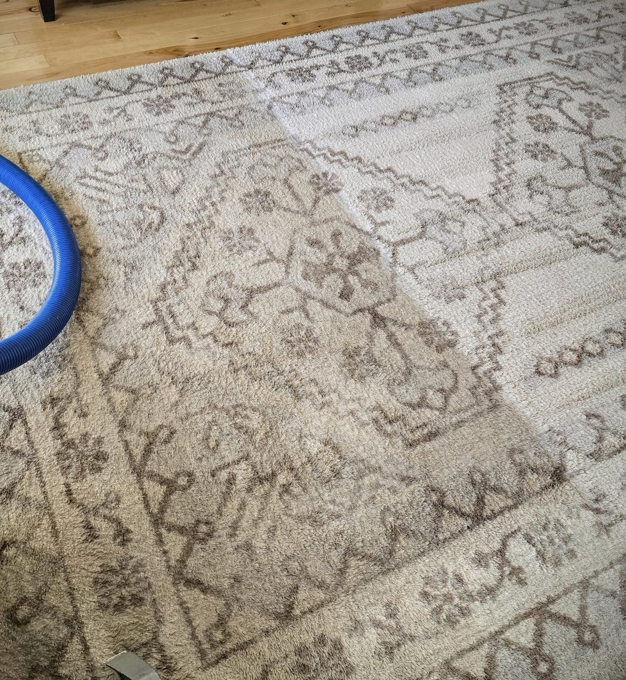 How to Care for a Wool Area Rug (Without Ruining It)